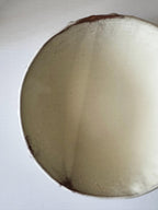 Handmade Ceramic Bubbles Bowl, Ochre Cream Glaze, Decorative Accents, 6.5"