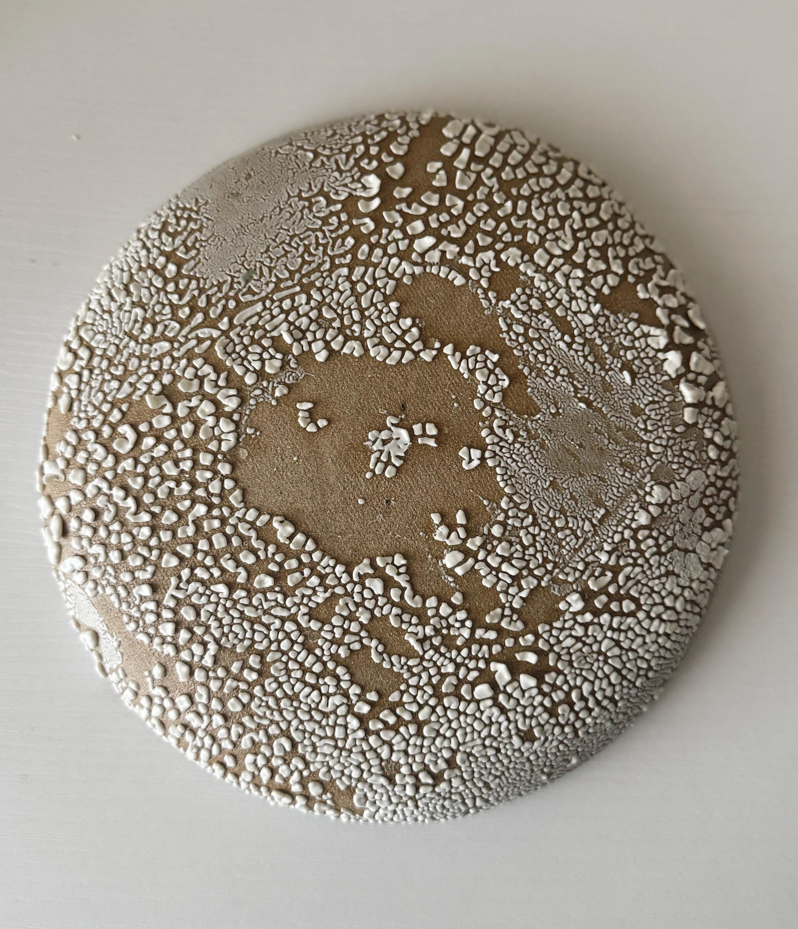 Handmade Ceramic Decorative Plate in White Crawl 7.5"
