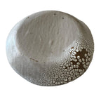 Novel Bowl | Handmade Ceramic Decorative Bowl in White Crawl | 7.5"